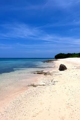 The cover image for the unit