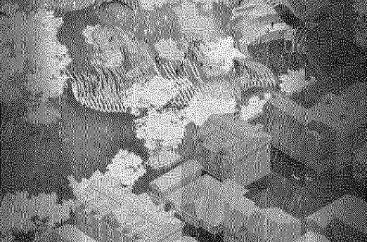 Aerial view of buildings and trees with a textured, abstract pattern.