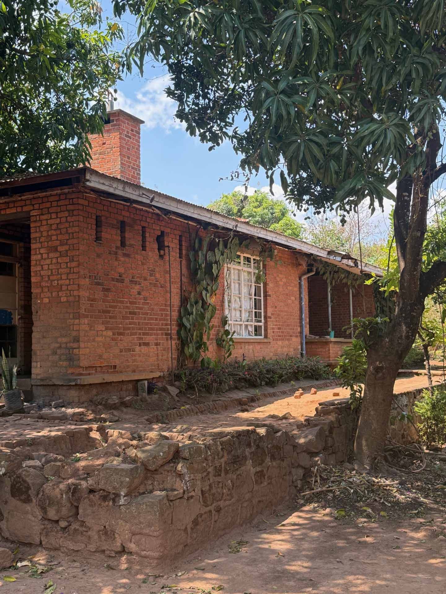 A single-story brick house with a chimney and a large tree in front.