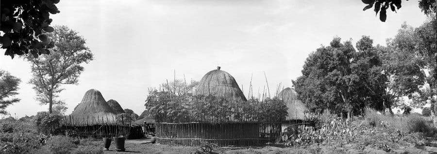 A panoramic view of several thatched-roof huts nestled among lush trees and foliage.