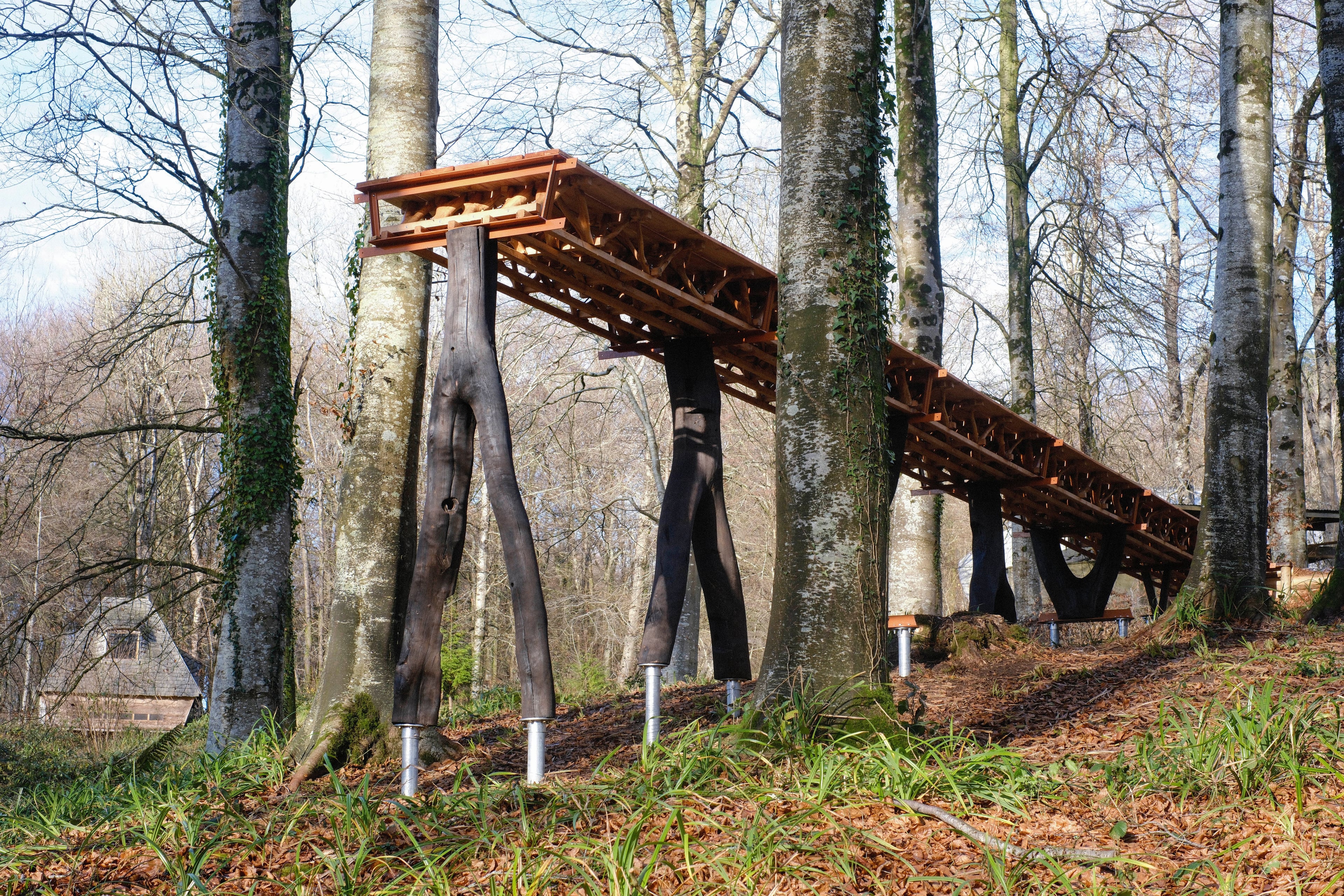 Elevated wooden walkway with dark stilts winding through a sparse, autumnal forest.