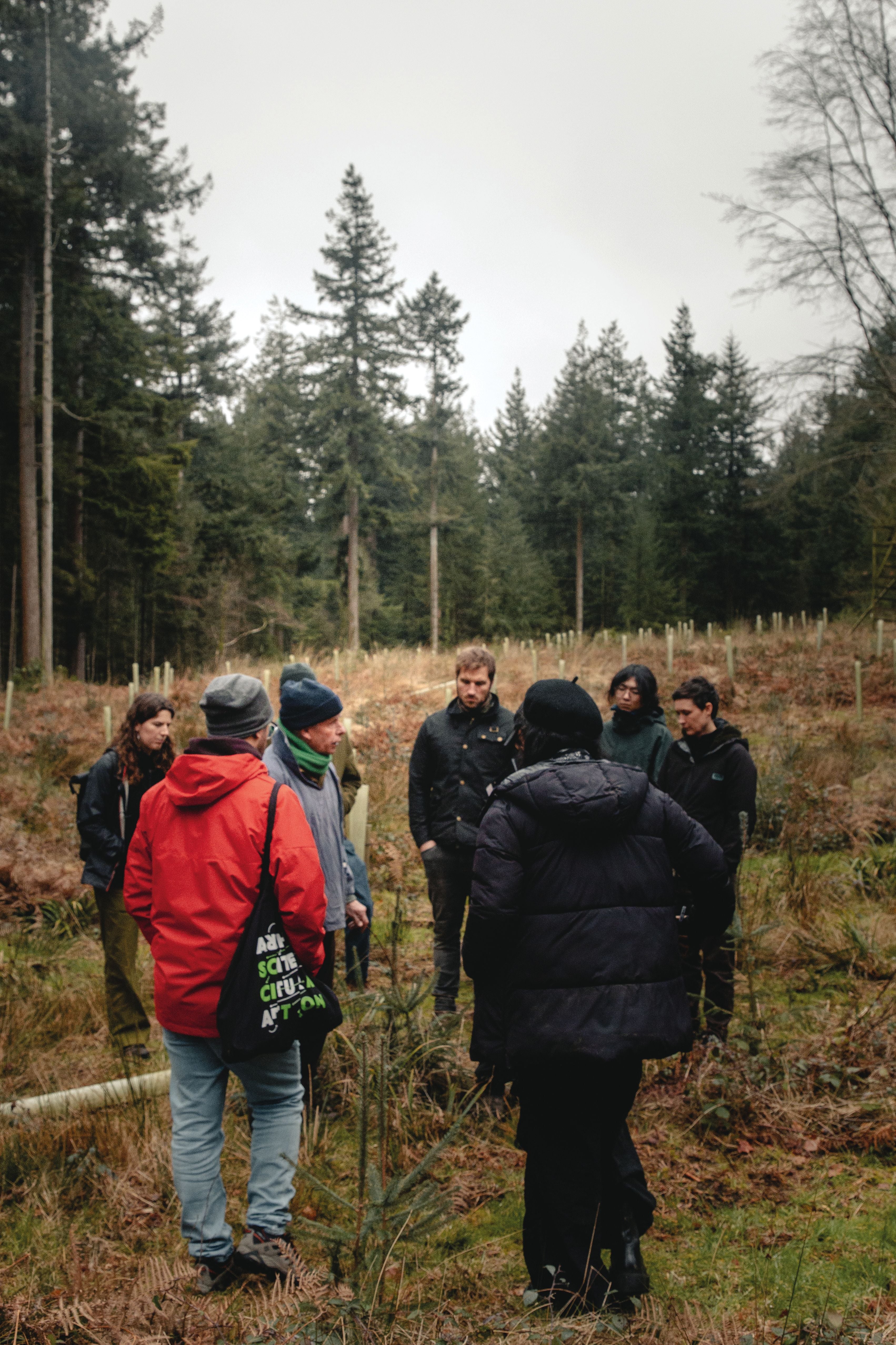 Group of people gathered in an open field surrounded by pine trees.
