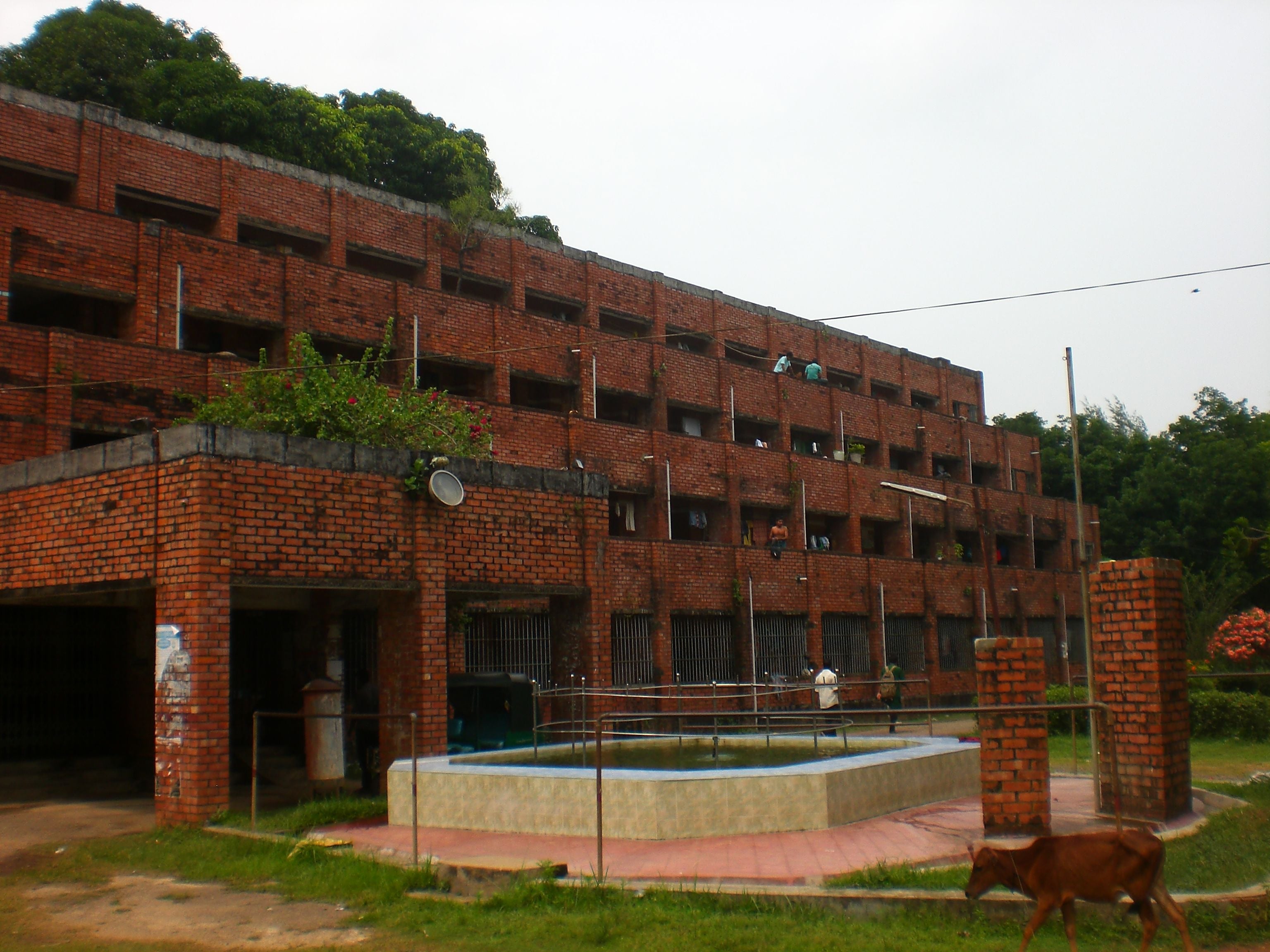 A multi-story brick building with many windows and some overgrown vegetation.