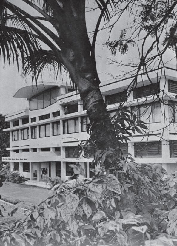 A multi-story modern building with a rounded roof is partially obscured by lush foliage and a large tree trunk.